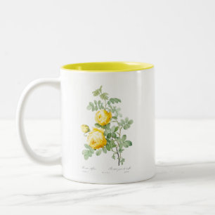 MUG vintage REDOUTÉ "ROSE JAUNE"