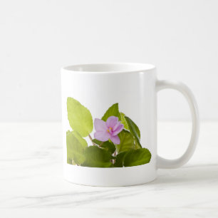 Mug violette africaine - ionantha de saintpaulia