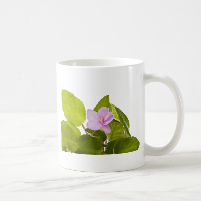 Mug violette africaine - ionantha de saintpaulia (Droite)