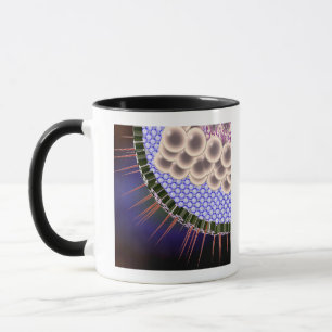 Mug Virus du herpès