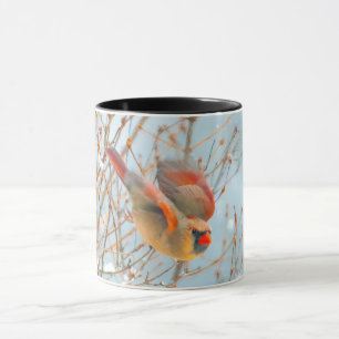 Mug Vol Cardinal Nord - Photo originale