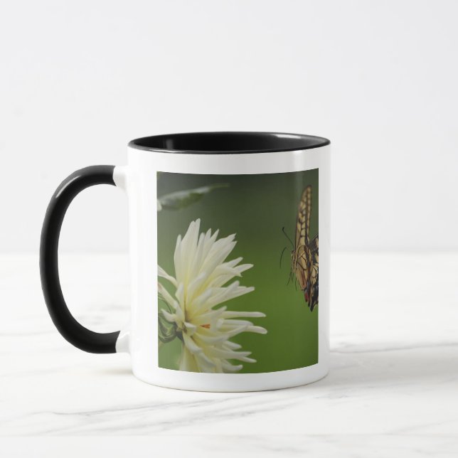 Mug Vol de machaon de Vieux Monde (Gauche)