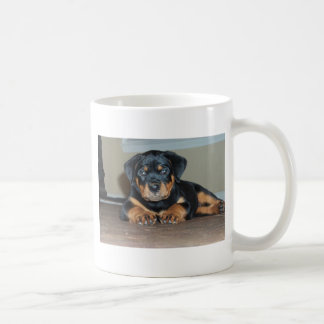 Mug Von Aufstand Rottweilers