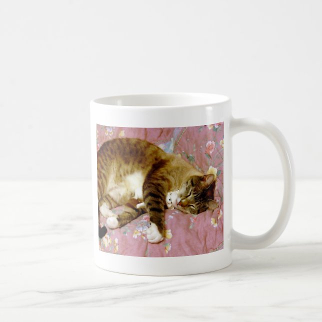 Mug Vrai chat, faux chat  (Droite)