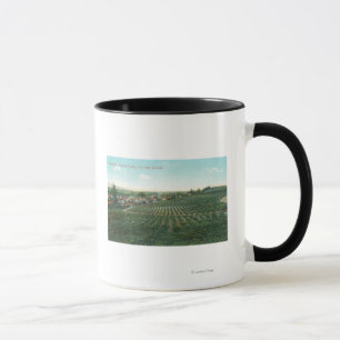 Mug Vue aérienne de la ville, le comté de Sonoma de la