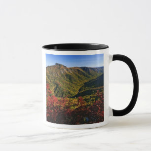Mug Vue automnale de la gorge de Linville souvent appe