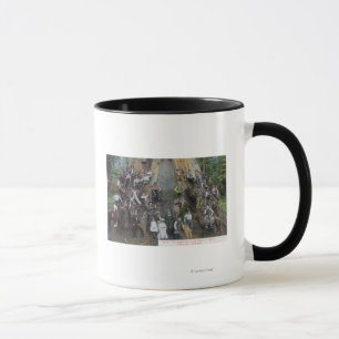Mug Vue de Boole, le plus grand arbre au monde