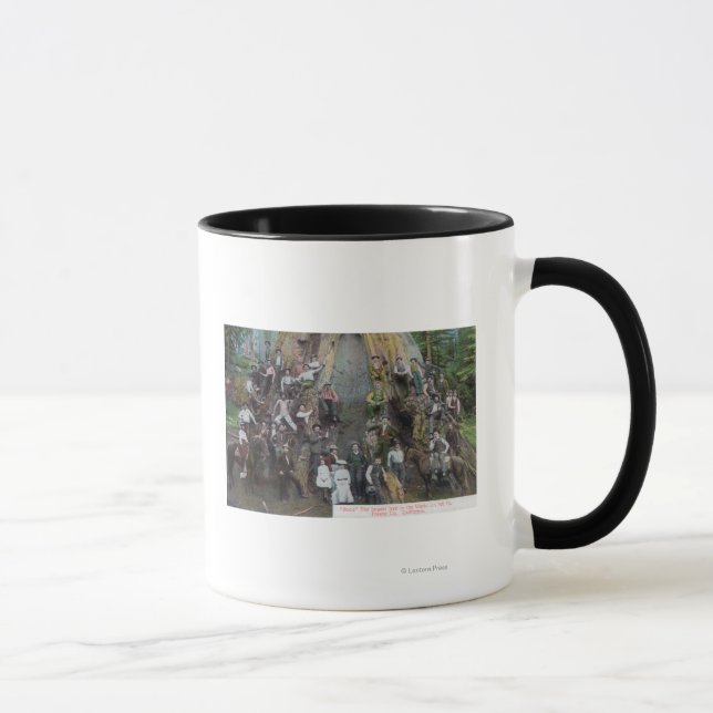 Mug Vue de Boole, le plus grand arbre du monde (Droite)