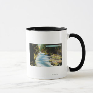Mug Vue de canyon de Seymour