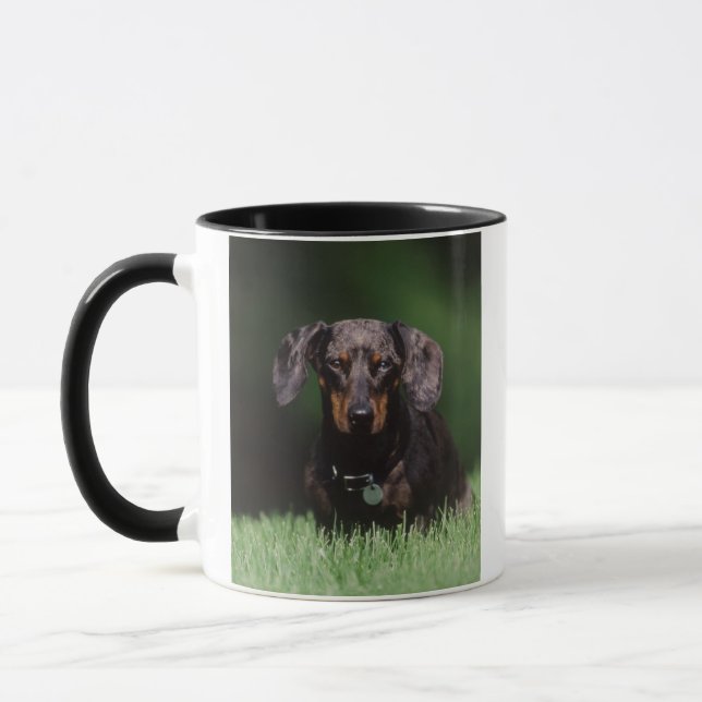 Mug Vue de Dachshund couleur panaché (Gauche)