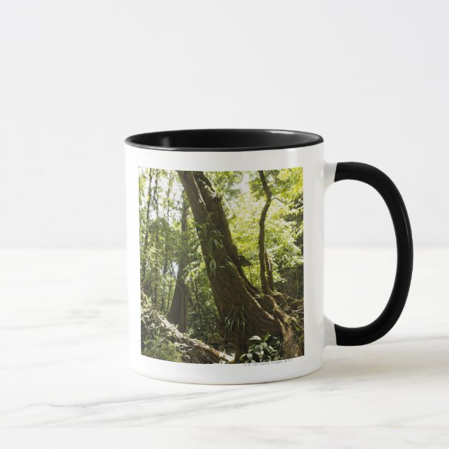 Mug vue de forêt tropicale, Dominique (Droite)