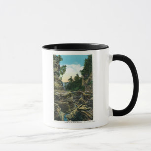 Mug Vue de la gorge du sud d'entrée