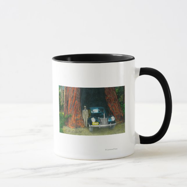 Mug Vue de l'Auto TreeBig Basin State Park, CA (Droite)