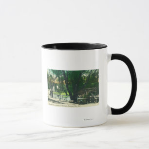 Mug Vue de l'étang Hot Springs