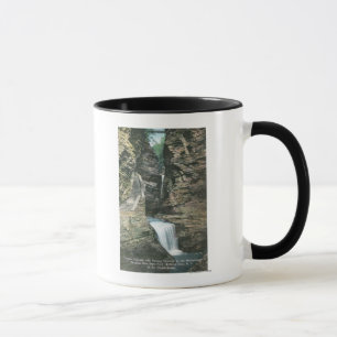Mug Vue de parc d'état des cascades de rideau et de