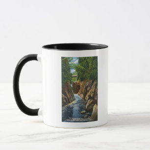 Mug Vue des automnes et du pont de rivière d'Ausable