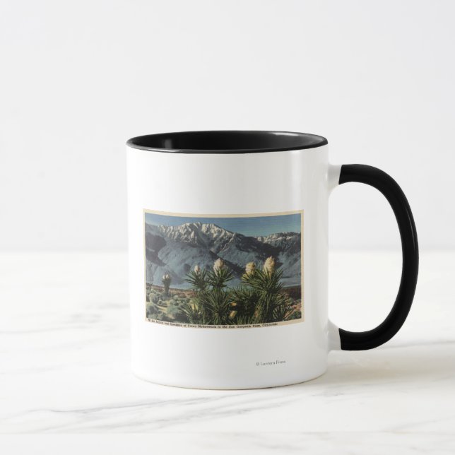 Mug Vue du mont San Jacinto, Yucca Mohavensis (Droite)