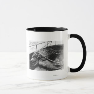 Mug Vue d'une tortue géante en captivité