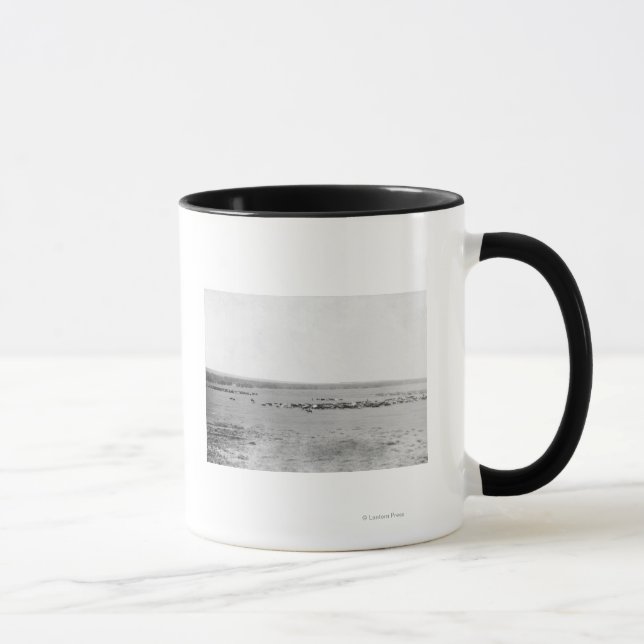Mug Vue éloignée des cowboys avec des troupeaux de bét (Droite)