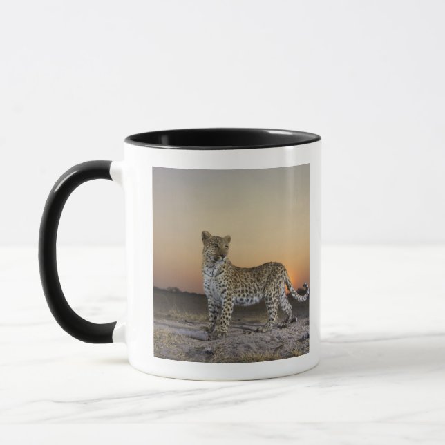 Mug Vue intégrale de léopard (pardus de Panthera) (Gauche)