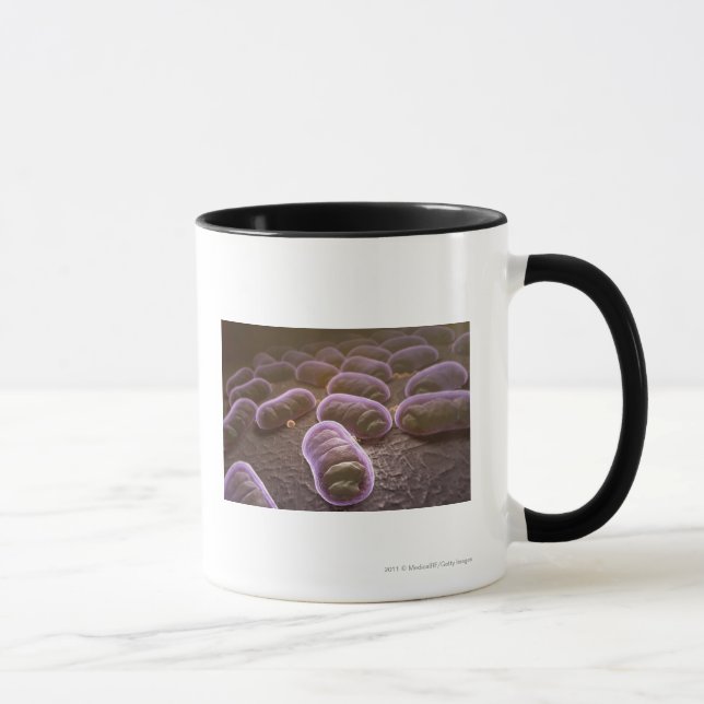 Mug Vue microscopique des bactéries (Droite)