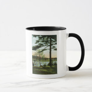 Mug Vue pittoresque au réservoir de Chestnut Hill