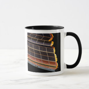 Mug Vue rapprochée des baies solaires