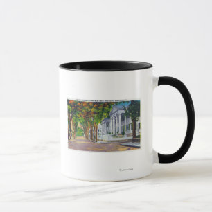 Mug Vue supérieure de rue principale des manoirs