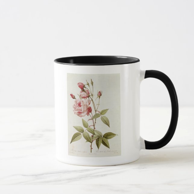 Mug Vulgaris indica de Rosa, des 'roses de Les (Droite)