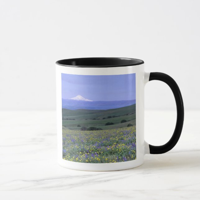 Mug WA, comté de Klickitat, Dalles Mountain Ranch, (Droite)