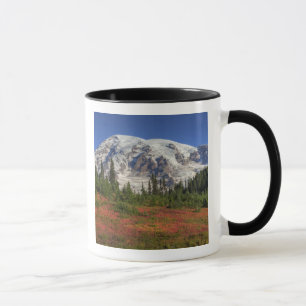 Mug WA, Parc national du mont Rainier, Paradise Valley