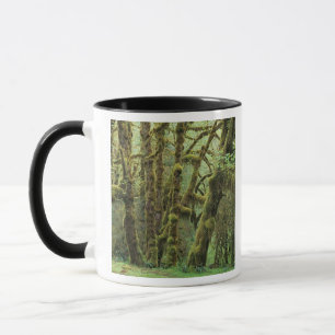 Mug WA, parc national Olympique, forêt pluviale de Hoh