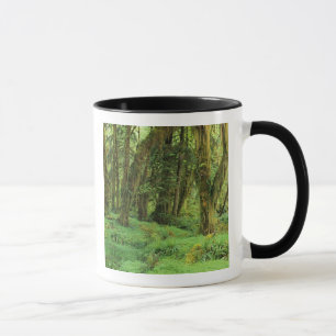 Mug WA, Parc national Olympique, forêt tropicale humid