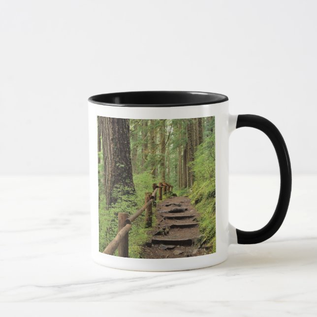 Mug WA, parc national olympique, vallée de Sol Duc, fo (Droite)