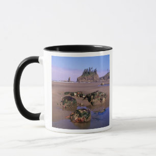 Mug WA, PN Olympic, deuxième plage avec des bassins de