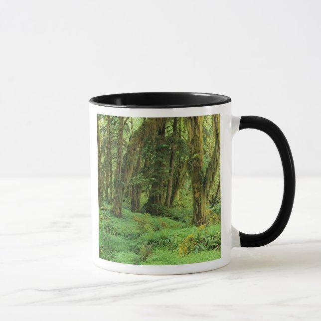 Mug WA, Pôle olympique, forêt de Quinault, mousse (Droite)