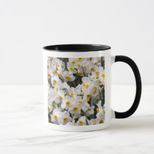 Mug WA, vallée de Skagit, motif de jonquille