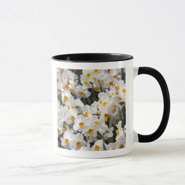 Mug WA, vallée de Skagit, motif de jonquille (Droite)