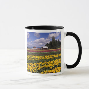 Mug WA, Vallée de Skagit, Tulipe de la vallée de Skagi