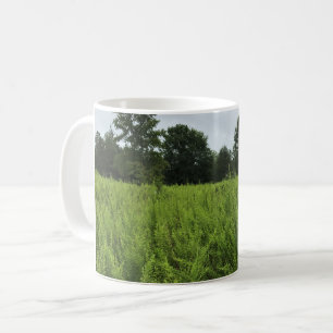 Mug Walking in the Forest, Chester, Caroline du Sud Ca