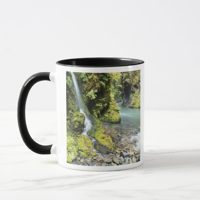 Mug Washington, Olympic National Park, saison (Gauche)