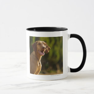 Mug Weimaraner