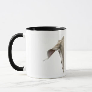 Mug Weimaraner 2