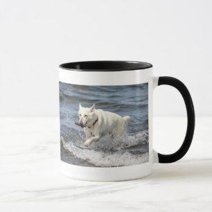 Mug White German Shepard sur le lac George