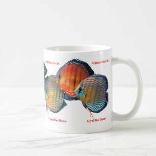 Mug Wild Discus