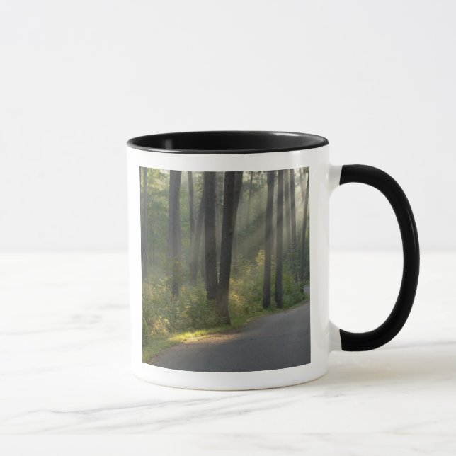 Mug Wilderness Drive, parc d'état d'Itasca, (Droite)