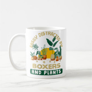 Mug Wo facilement distrait par les boxeurs et les plan