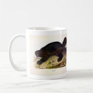 Mug Wolverine ou Wolverene (Gulo gulo) par Audubon