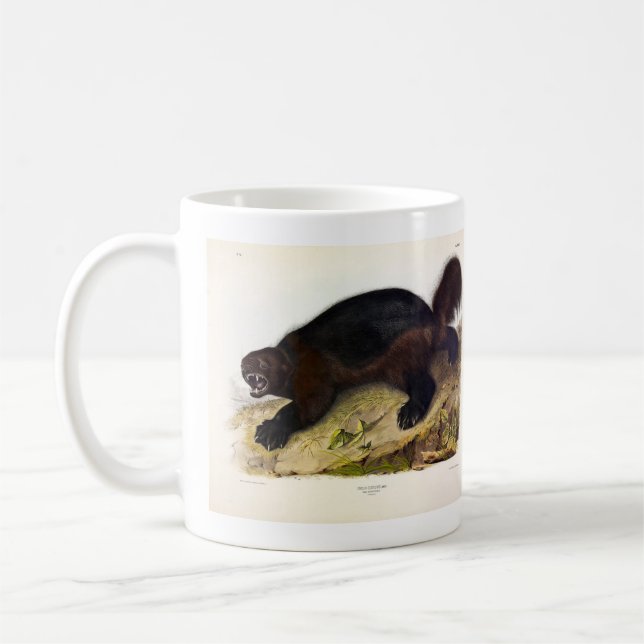 Mug Wolverine ou Wolverene (Gulo gulo) par Audubon (Gauche)