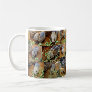Mug Wombat photo collage